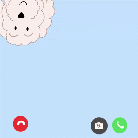 Dog Video GIF