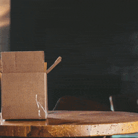 200.gif?cid=fc005b08a5d91a884c82ab752f0e1602ca7231b4dcb6569f&rid=200.gif&ct=g