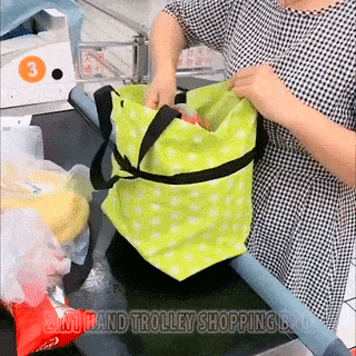 GIF animado