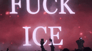 Ice Chicago GIF