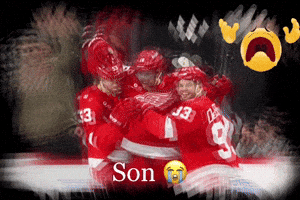 Red Wings Hockey GIF