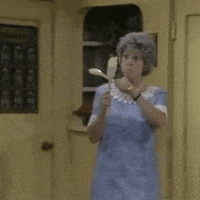 mamas family 80s tv GIF by absurdnoise