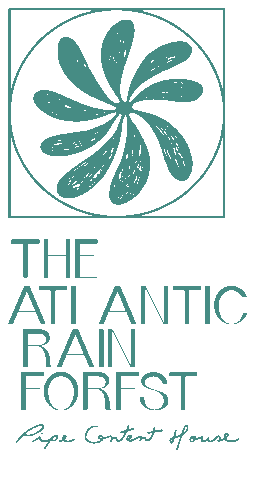 Mata Atlantica Moda Sticker by Pipe Content House