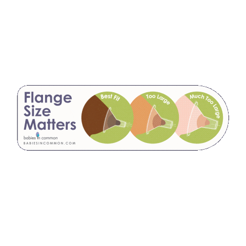 Flange Fits Guide Sticker by babies in common