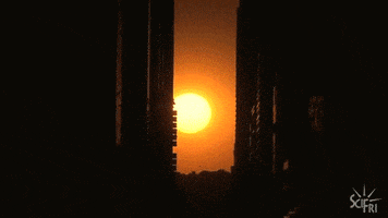 new york city sun GIF by Science Friday