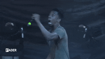 zulu  GIF