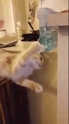 memes seor wet floor GIF