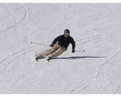 ski GIF