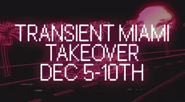 TransientLabs miami takeover art basel transient labs GIF
