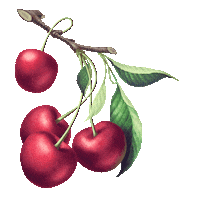 Orange Juice Art Sticker by Rich