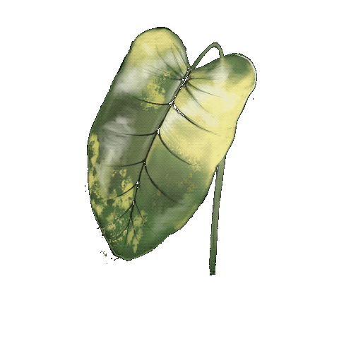Green Sticker