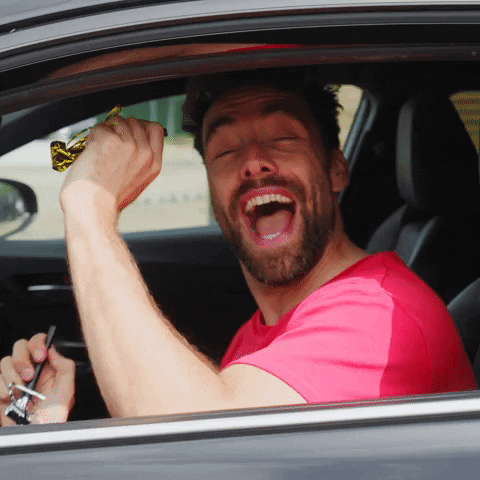 Happy Party GIF by Toyota NL