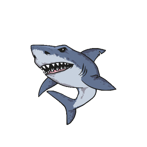 animated shark gif
