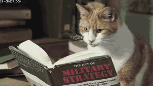 Gif of a cat licking its paw and turning a page as it reads a book entitled 'The Art of Military Strategy'