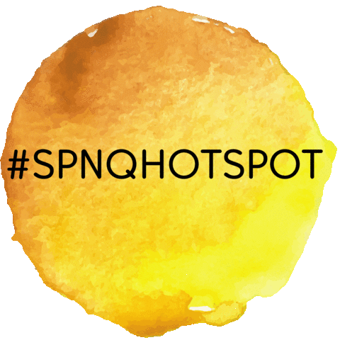 Smart Precinct NQ Sticker