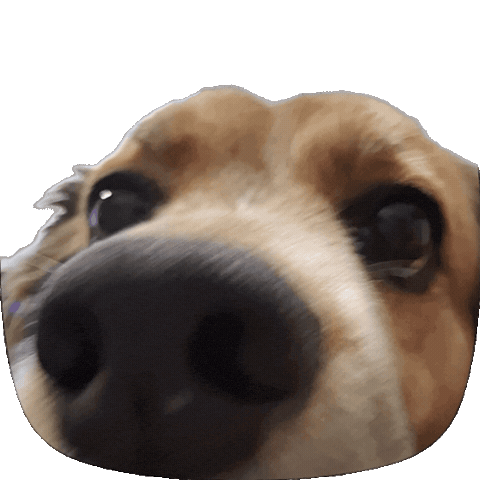 Happy Dog Sticker