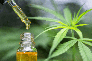 Cannabis GIF