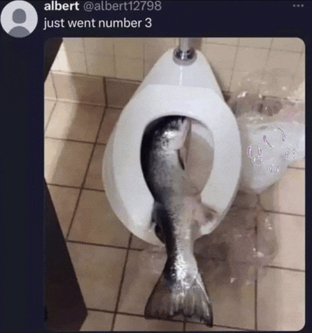 Fish Toilet GIF