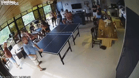 Ping-pong GIFs - Get the best GIF on GIPHY