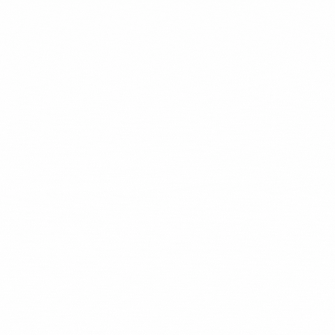 The Socher Team GIF