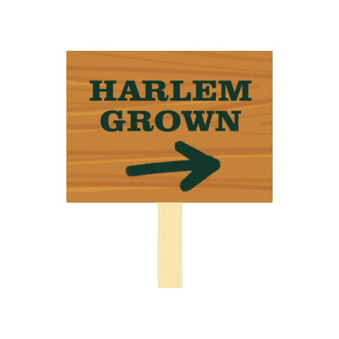 Harlem Grown Sticker