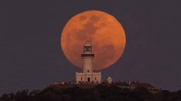 Red Moon GIF by Storyful