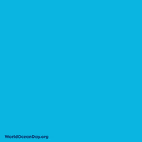 Sea Action Gif By World Ocean Day Find Share On Giphy