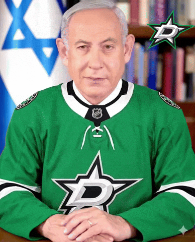 Dallas Stars Hockey GIF