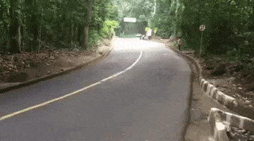 marcspringer  GIF