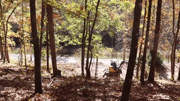 Fall Leaves Excavator GIF by JC Property Professionals