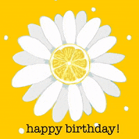 Happy Birthday GIF by Daisy Lemon