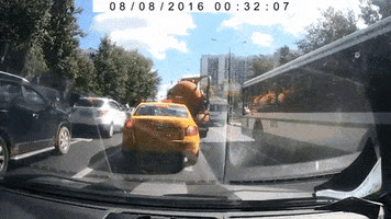 summercollider poop diarrhea dashcam GIF