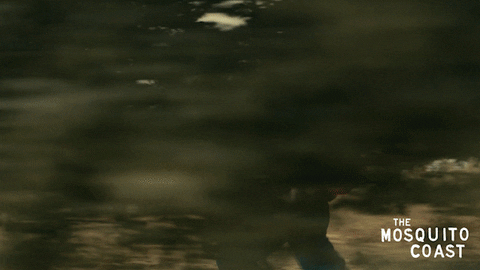 Escape Runaway GIF by Apple TV+