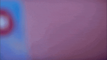 GIF by Hotels.com