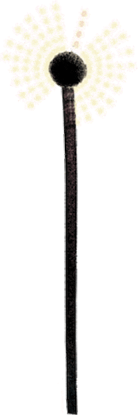 Theaterfestival De Parade Sticker