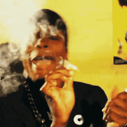 Weed GIFs - Get the best GIF on GIPHY
