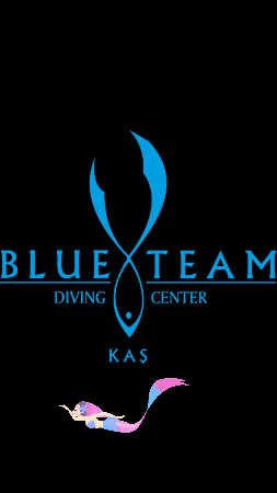 Blueteam Dalış GIF