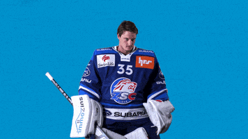 Baltisberger GIF by ZSC Lions