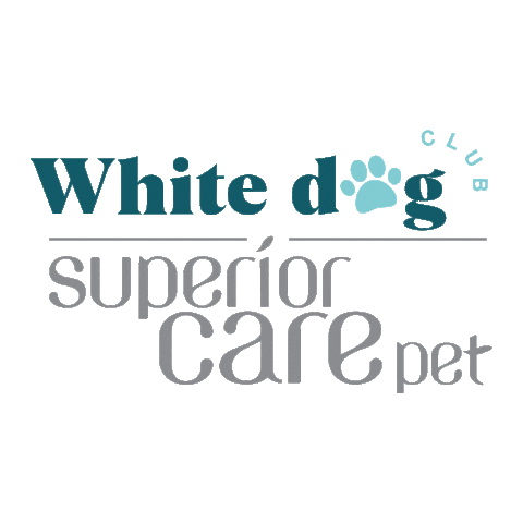 WDC GIFs on GIPHY - Be Animated