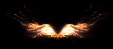 Eagle GIF