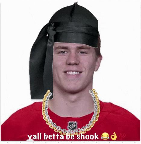 Red Wings GIF