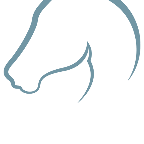 Paardendroom Sticker