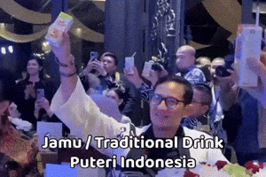 Miss Supranational GIF