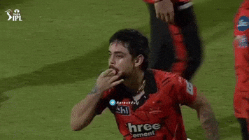 Ipl Sunrisershyderabad GIF