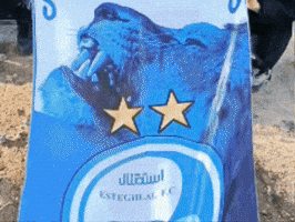 صادق راد GIF