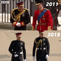Prince Harry GIF by BBC