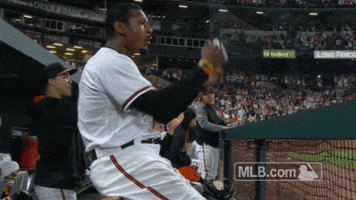 baltimore orioles boo GIF by MLB