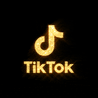 GIF by TikTok