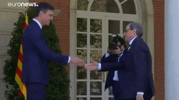 pedro sanchez handshake GIF by euronews