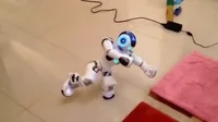 robot performing GIF